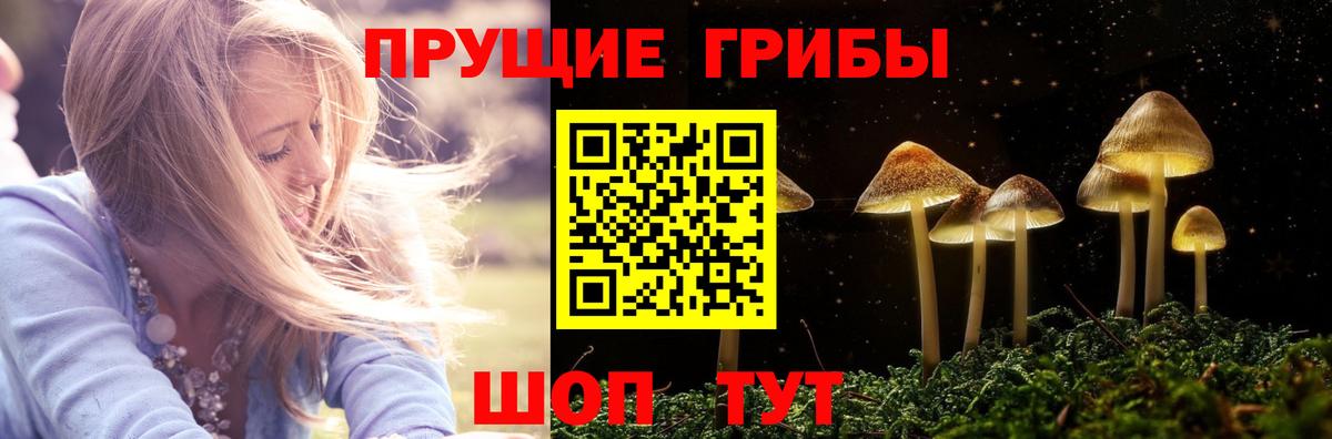 Псилоцибиновые грибы GOLDEN TEACHER Ступино