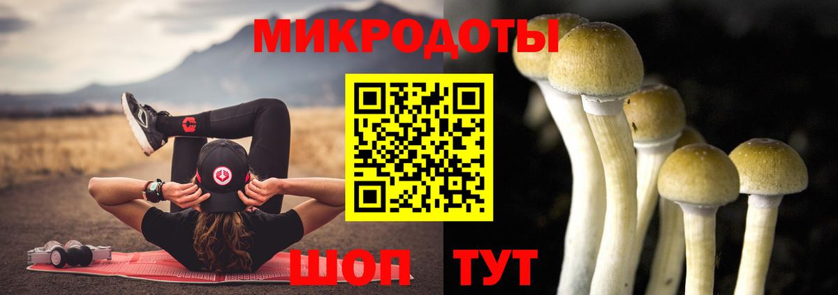 Ступино  Галлюциногенные грибы MAGIC MUSHROOMS  Псилоцибиновые грибы MAGIC MUSHROOMS  Вход с VPN 